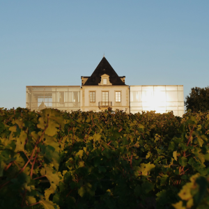 Product image for Chateau Pedesclaux Pauilliac 2023