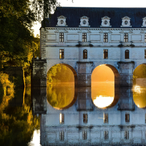 Product image for Domaine du Salvard Cheverny Rouge