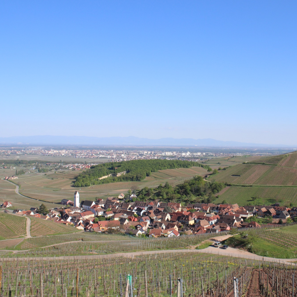 Product image for Meyer Fonne Riesling Grand Cru Kaefferkopf Riesling