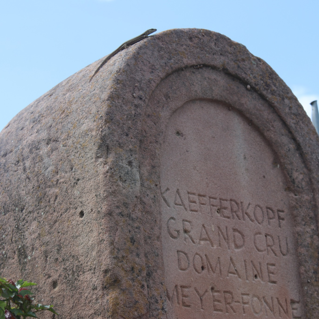 Product image for Meyer Fonne Riesling Grand Cru Kaefferkopf Riesling