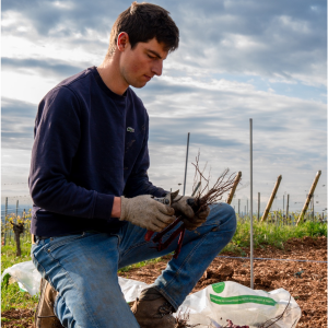 Product image for Meyer Fonne Riesling Grand Cru Kaefferkopf Riesling
