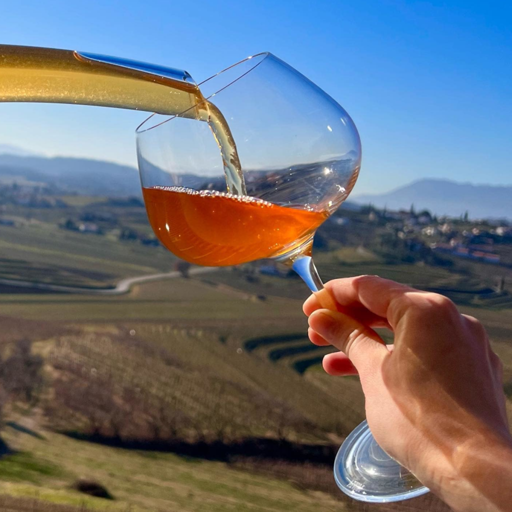 Product image for Movia 