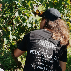 Product image for Chateau Pedesclaux Pauilliac 2023