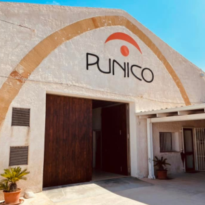 Product image for Amaro Punico