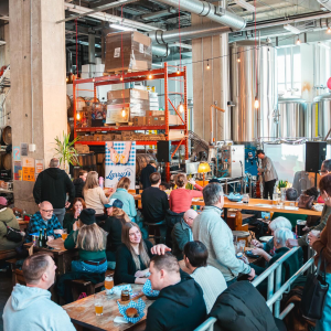 Product image for 2 Crows Brewing - Wing Beat New Zealand IPA