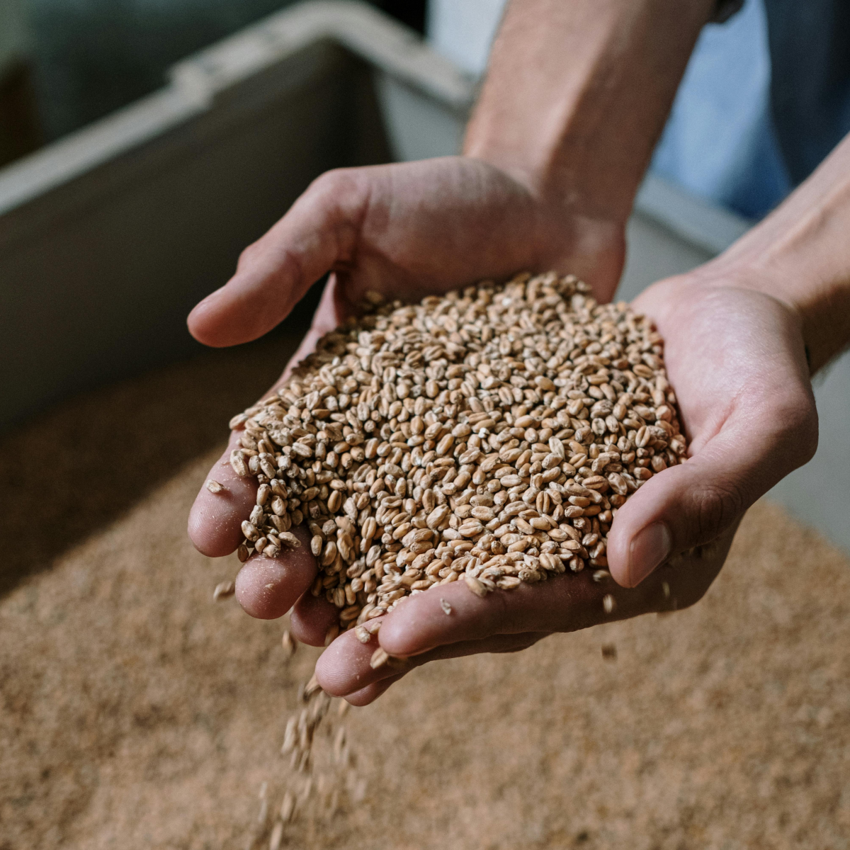 Product image for Eiregold Special Single Malt