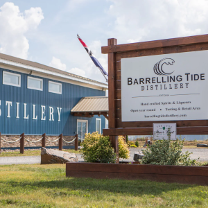 Product image for Barrelling Tide - Pina Colada Seltzer