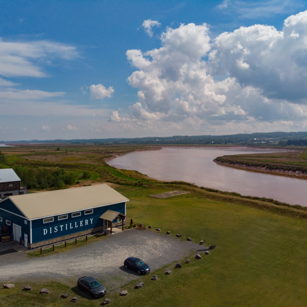 Product image for Barrelling Tide - Pina Colada Seltzer