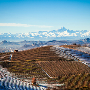 Product image for Fontanabianca Barbaresco DOCG
