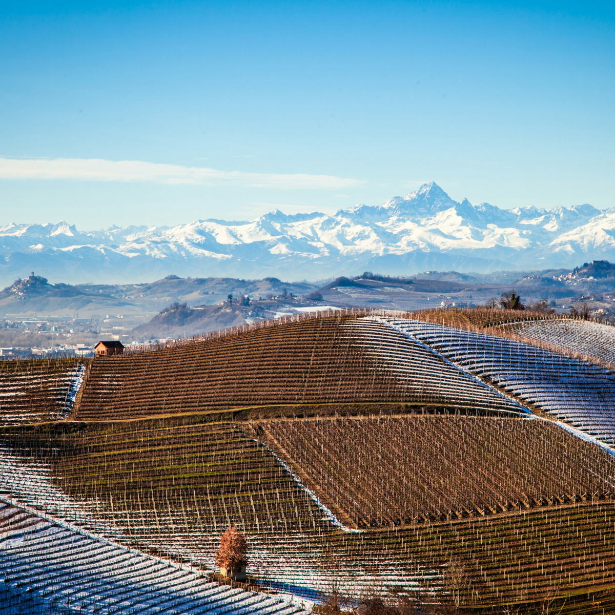 Product image for Fontanabianca Barbaresco DOCG