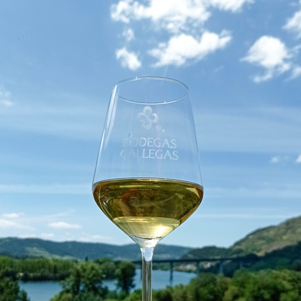 Product image for Bodegas Gallegas Gran Alanis