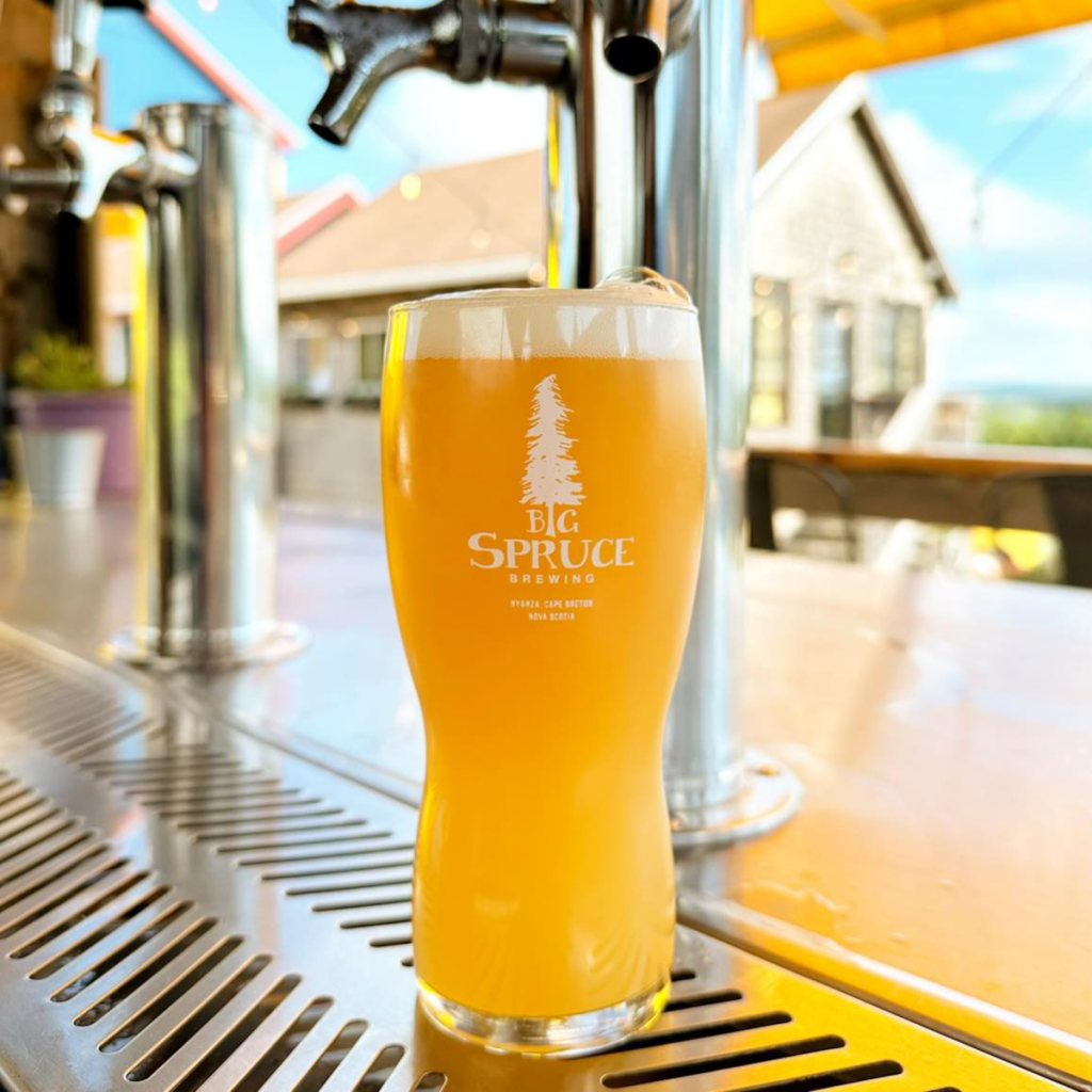 Product image for Big Spruce Brew - Juicy Talus Double IPA