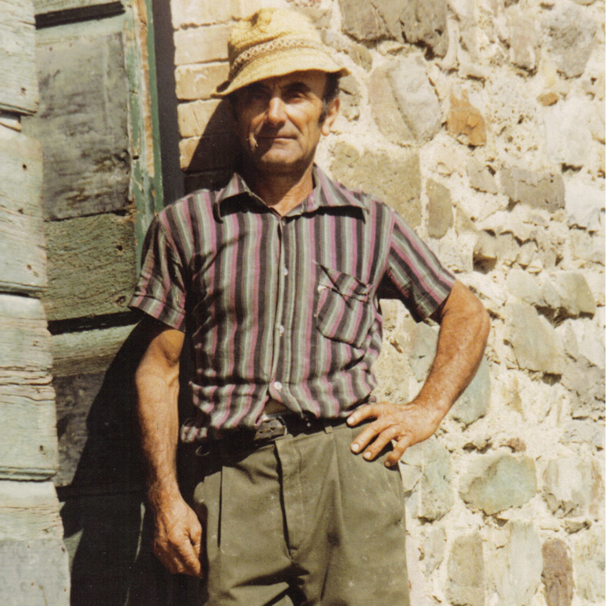 Product image for Uccelliera Rosso Di Montalcino