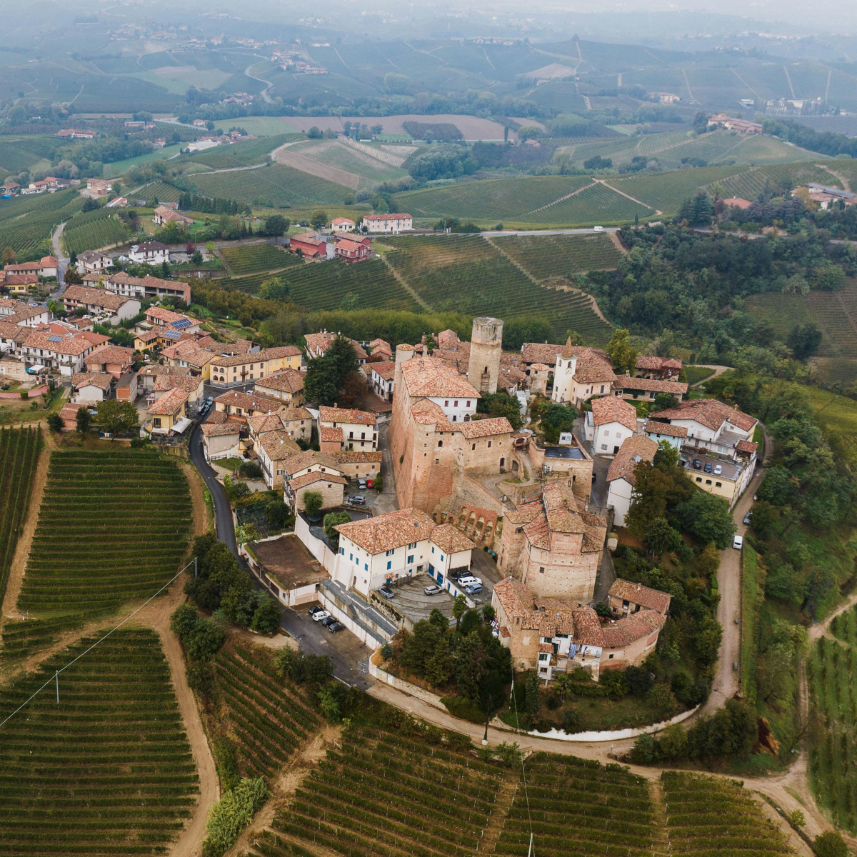 Product image for Oddero Barolo Classico DOCG