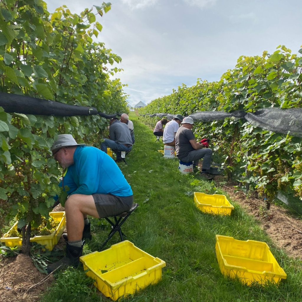 Product image for Beausoleil Rosé