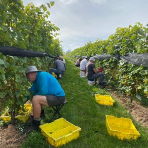 Product image for Beausoleil Rosé