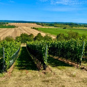 Product image for Beausoleil Rosé