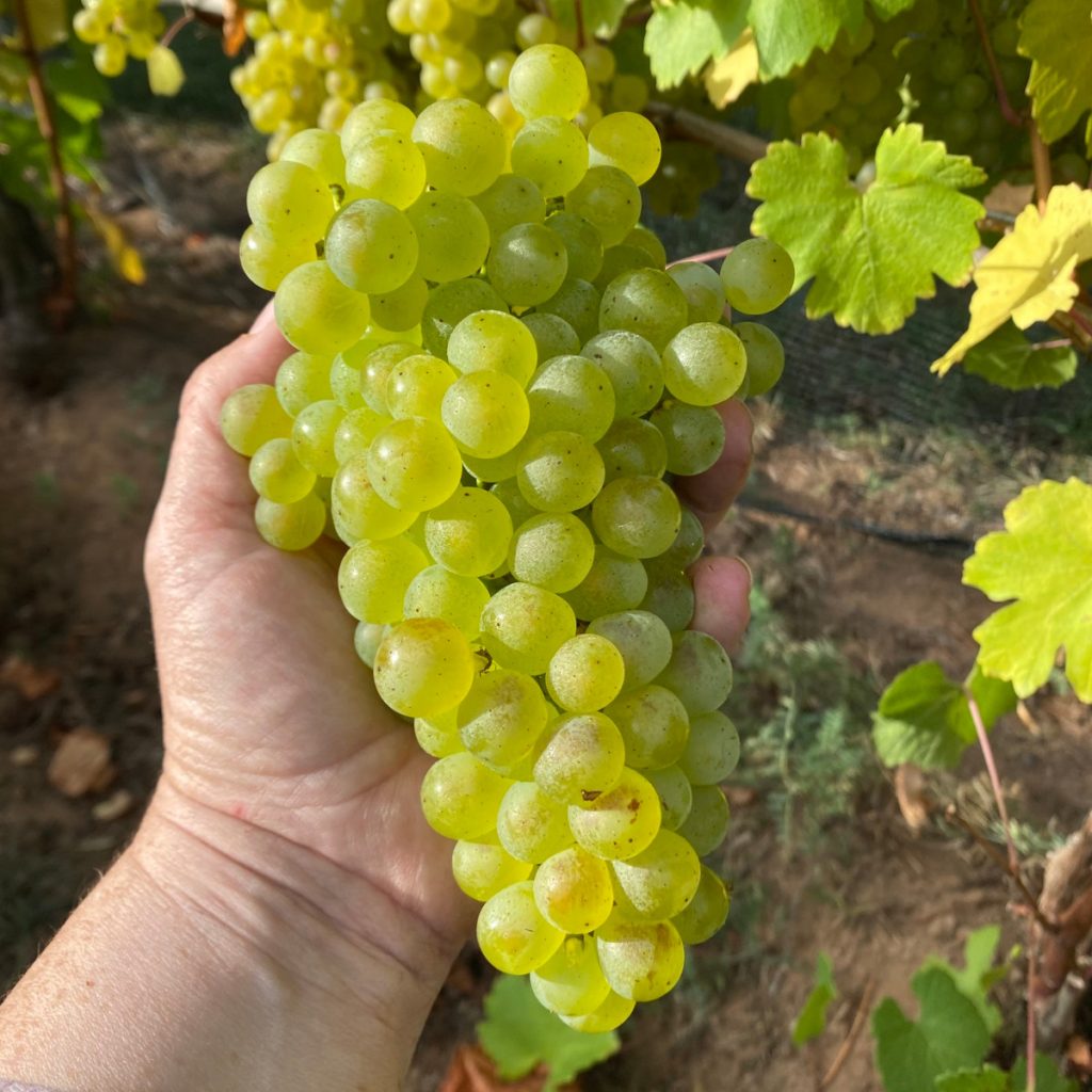 Product image for Beausoleil Tidal Bay