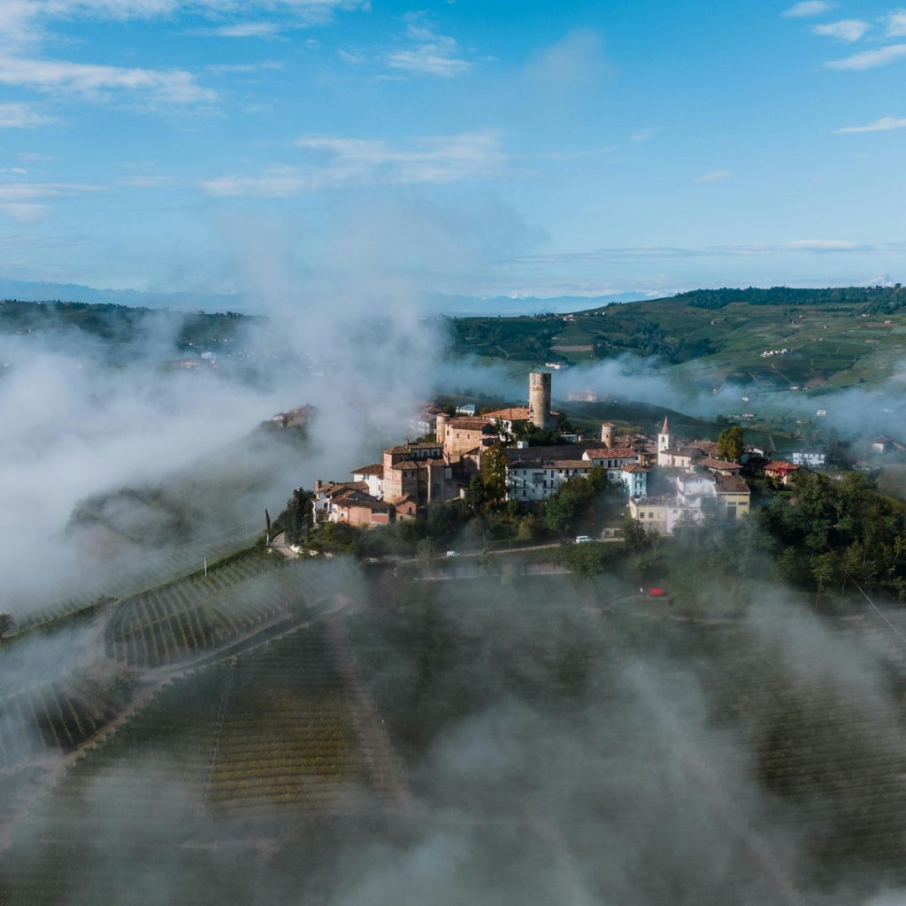 Product image for Oddero Barolo Classico DOCG