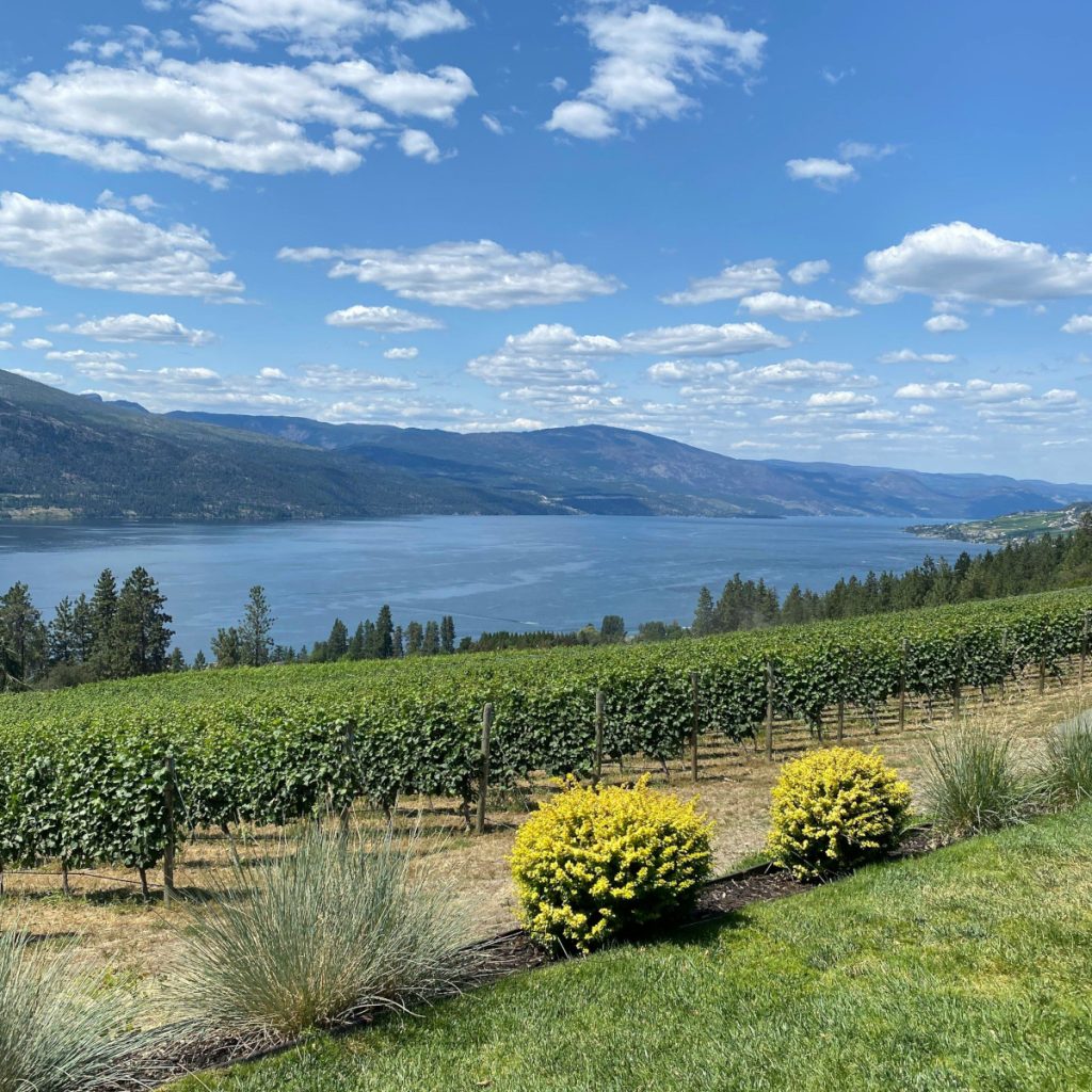 Product image for Clos du Soleil’s Celestiale