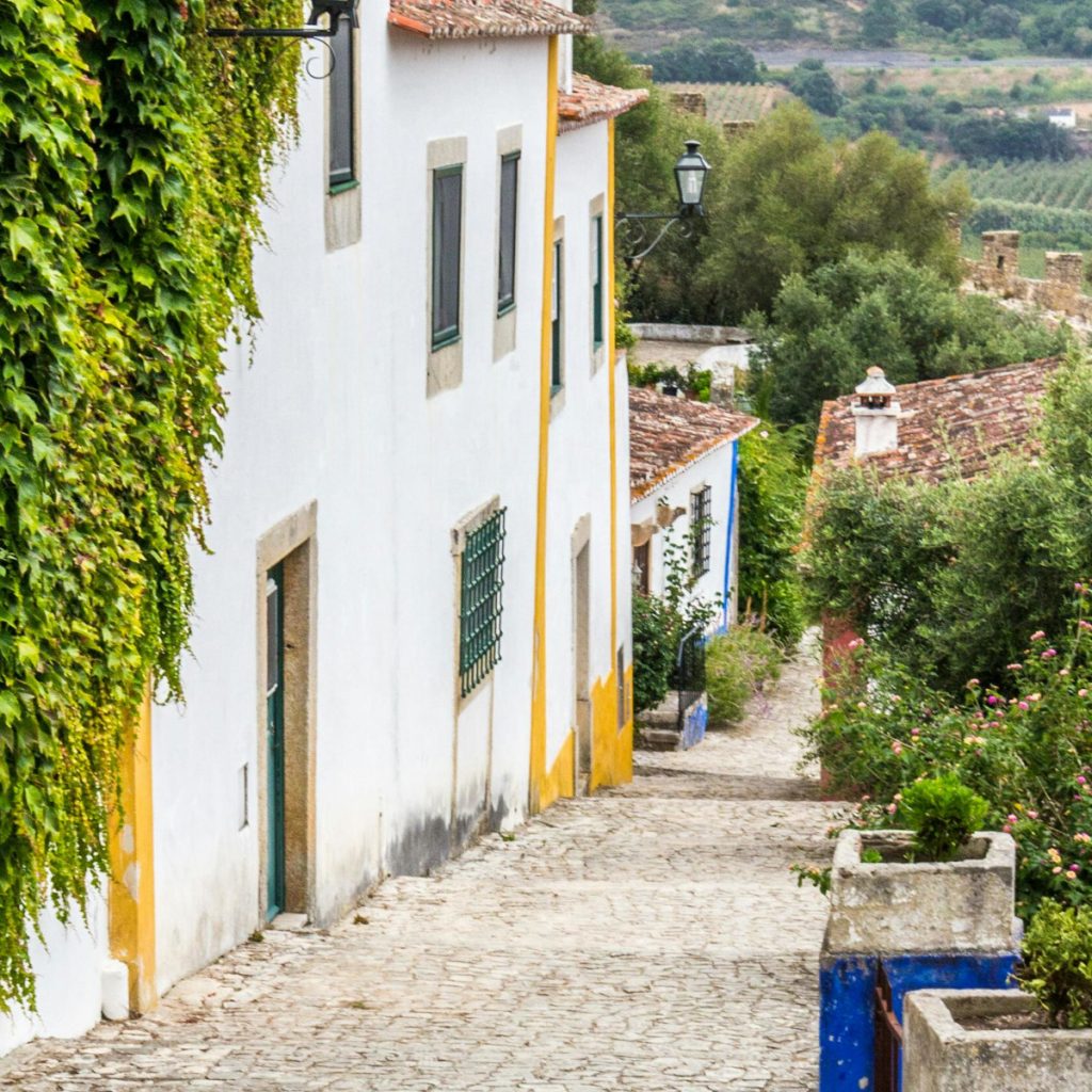 Product image for Aplanta Alentejo