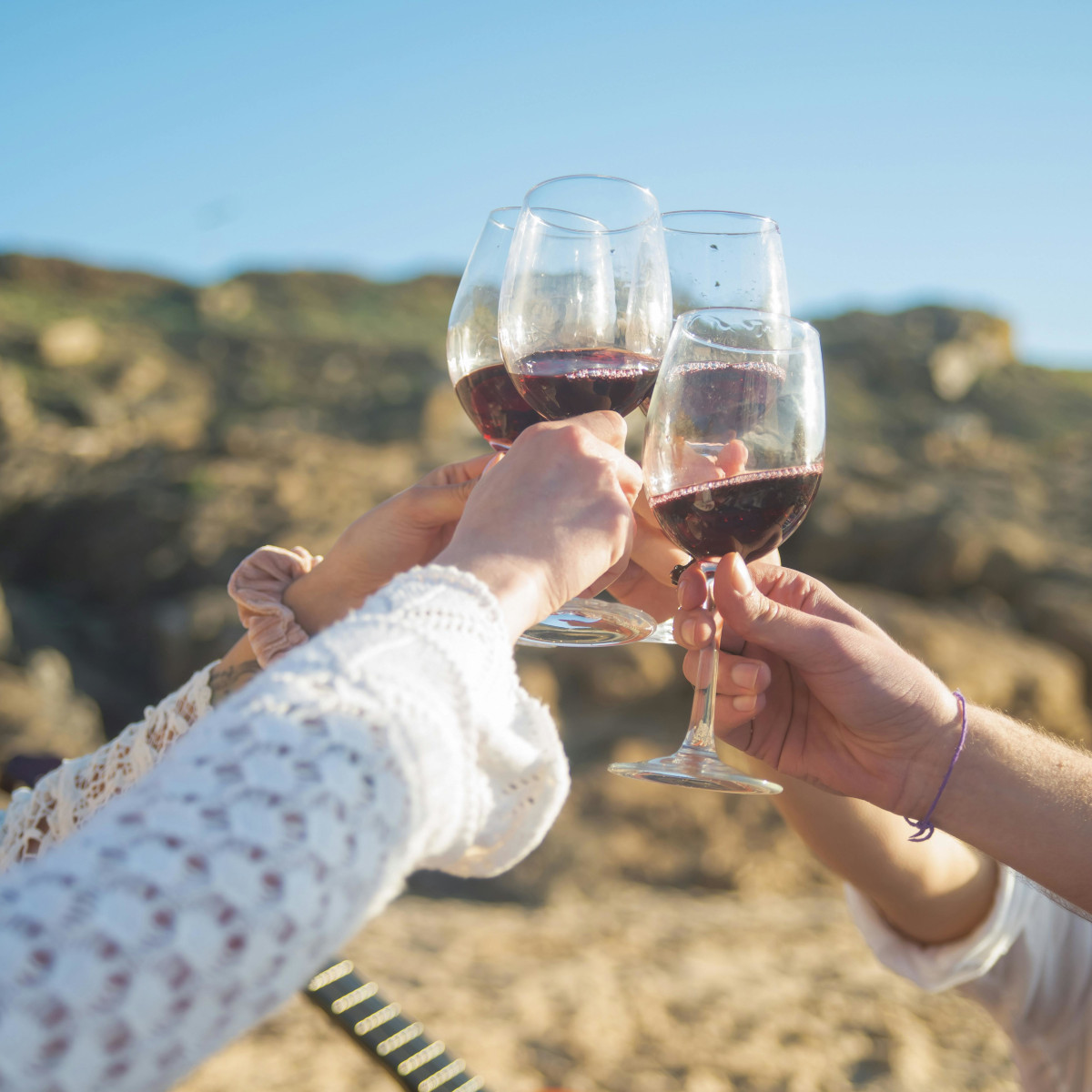 Product image for Domaine des Lises Crozes-Hermitage