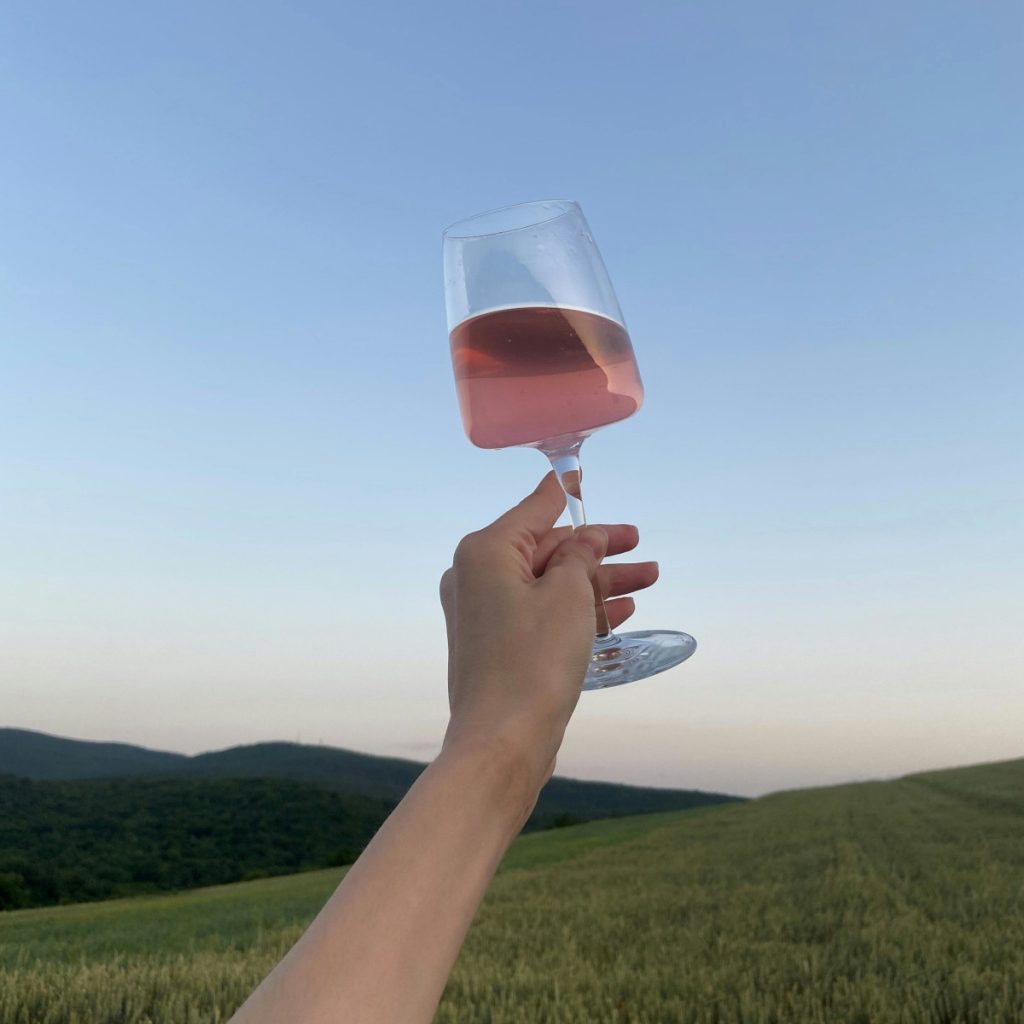 Product image for Terregaie Ellie Rosato Veneto IGT