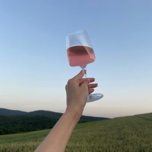 Product image for Terregaie Ellie Rosato Veneto IGT