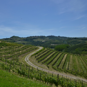 Product image for Brigaldara Soave DOC