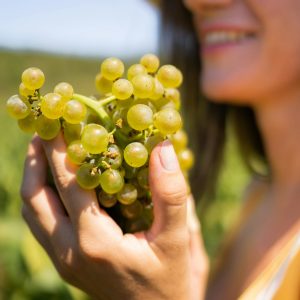 Product image for Nortico Alvarinho Reserva