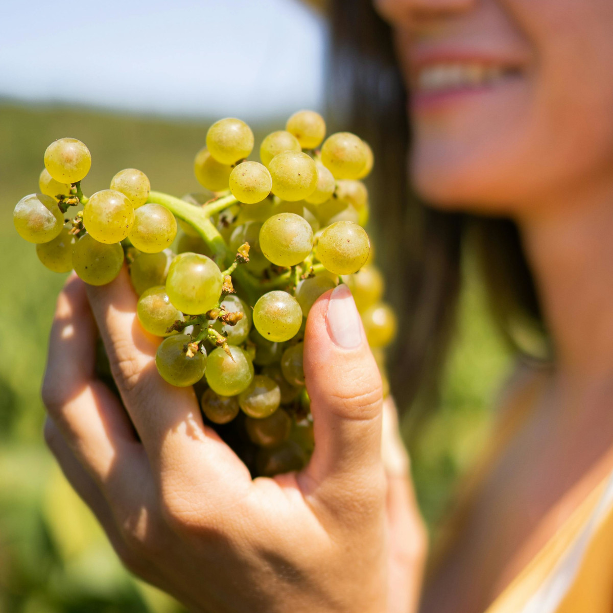 Product image for Vera Branco Vinho Verde