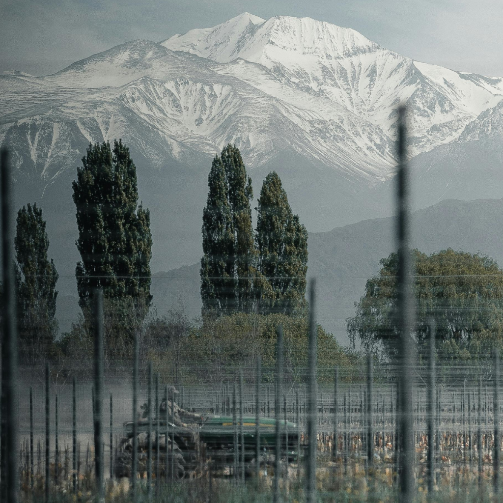 Product image for Finca Los Olmos Malbec