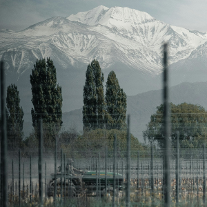 Product image for Finca Los Olmos Malbec