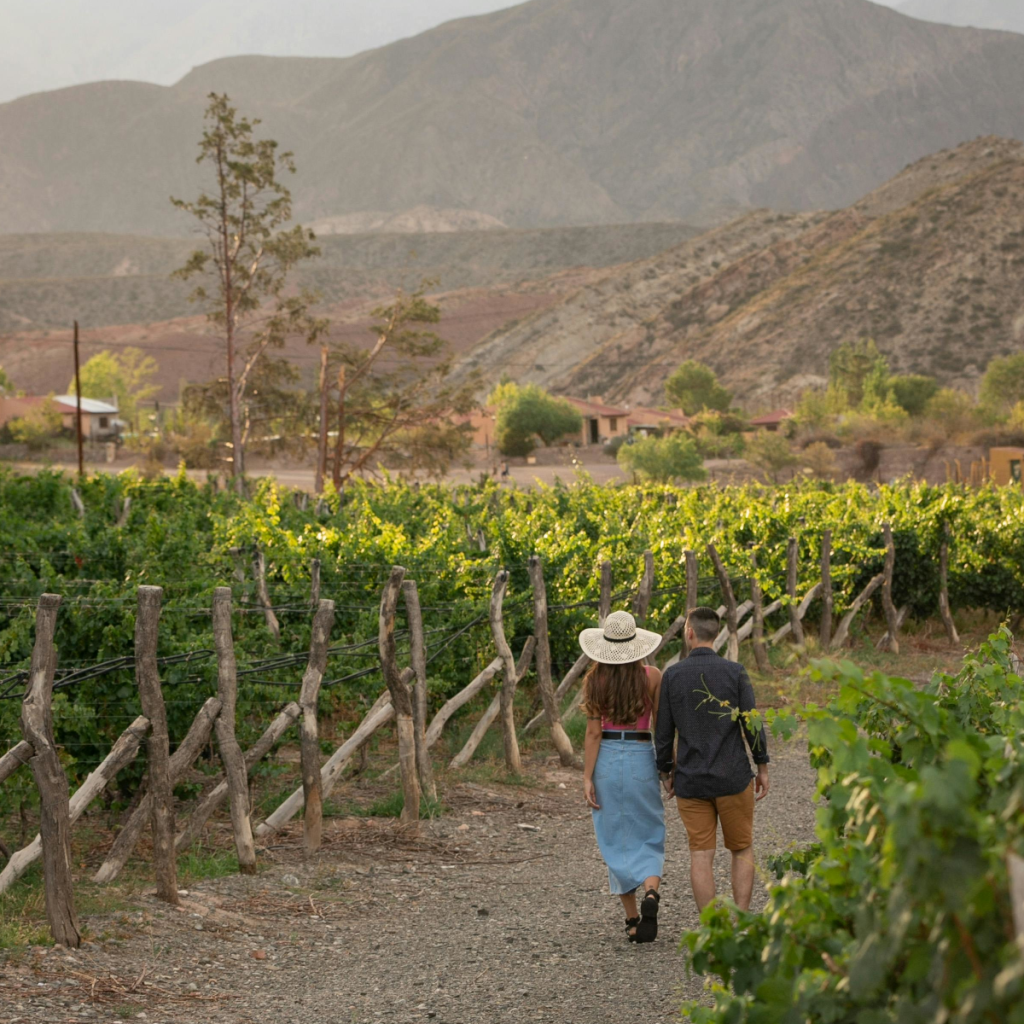 Product image for Finca Los Olmos Malbec