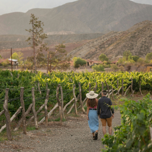 Product image for Finca Los Olmos Malbec