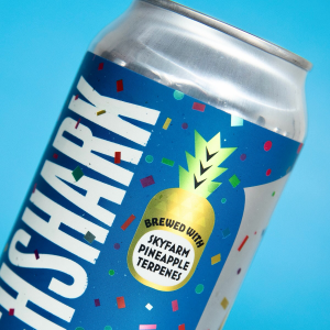 Product image for Bellwoods Brewery - Witchshark 14th Anniversary DIPA