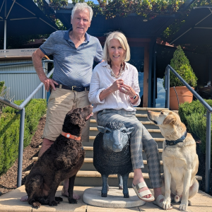 Product image for Hugh Hamilton The Black Sheep Shiraz