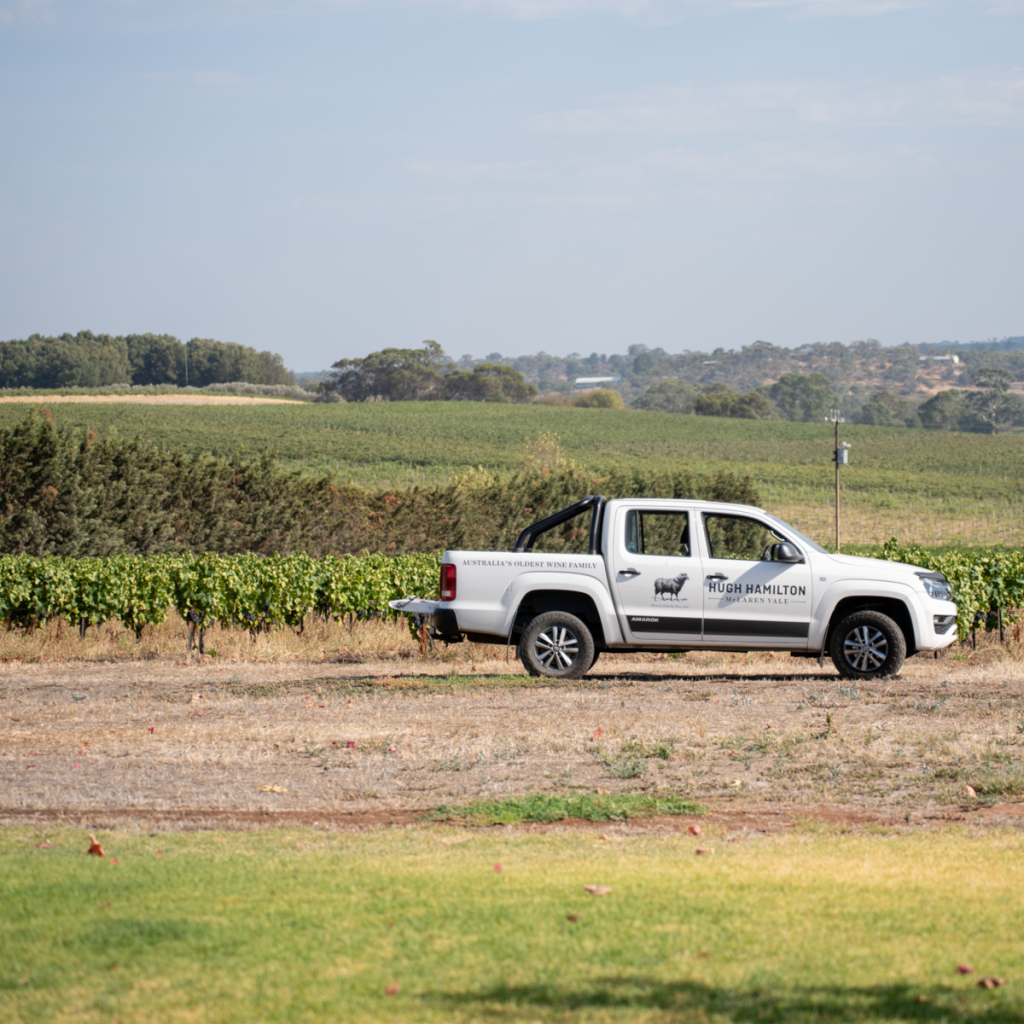 Product image for Hugh Hamilton The Black Sheep Shiraz