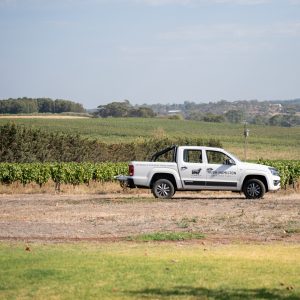Product image for Hugh Hamilton The Black Sheep Shiraz