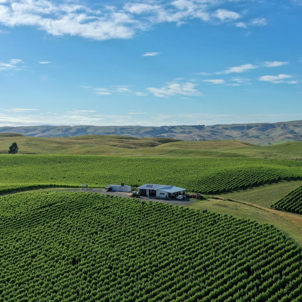 Product image for Kumeu Village Chardonnay