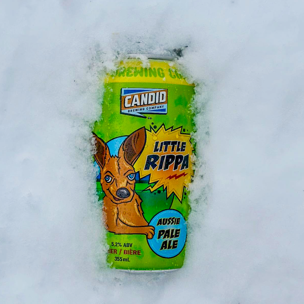 Product image for Candid Brewing - Little Rippa Aussie Pale Ale