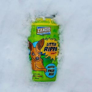 Product image for Candid Brewing - Little Rippa Aussie Pale Ale