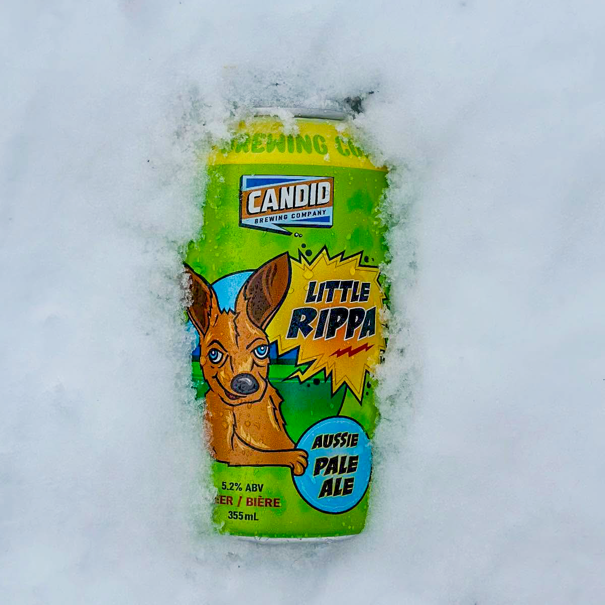 Product image for Candid Brewing - Little Rippa Aussie Pale Ale
