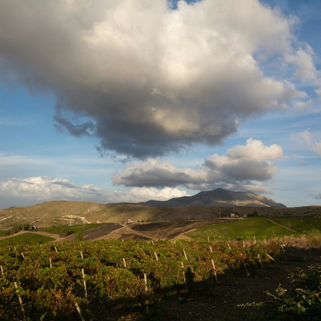 Product image for Feudo Arancio Pinot Noir Sicilia DOC