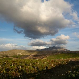 Product image for Feudo Arancio Pinot Noir Sicilia DOC