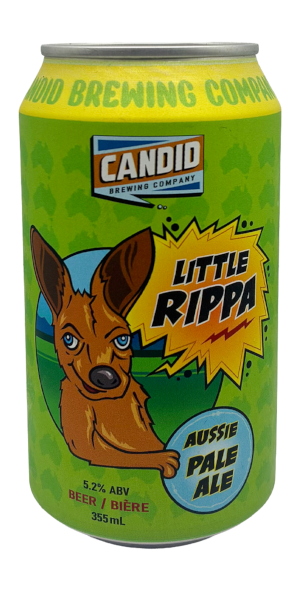 A product image for Candid Brewing – Little Rippa Aussie Pale Ale