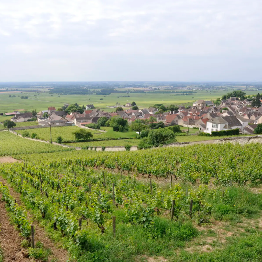 Product image for Domaine Bitouzet-Prieur Meursault 