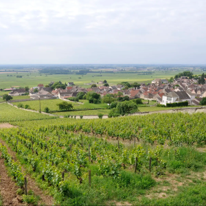 Product image for Domaine Bitouzet-Prieur Meursault 