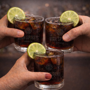 Product image for High Spirits Beverage Co. Spiced Rum