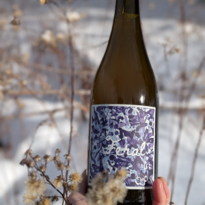 Product image for Margaree Cider - Feral